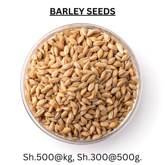 Have you been asking yourself, Where to get Barley Seeds in Kenya? or Where to get Barley Seeds in Nairobi? Kalonji Online Shop Nairobi has it. Contact them via WhatsApp/Call 0716 250 250 or even shop online via their website www.kalonji.co.ke