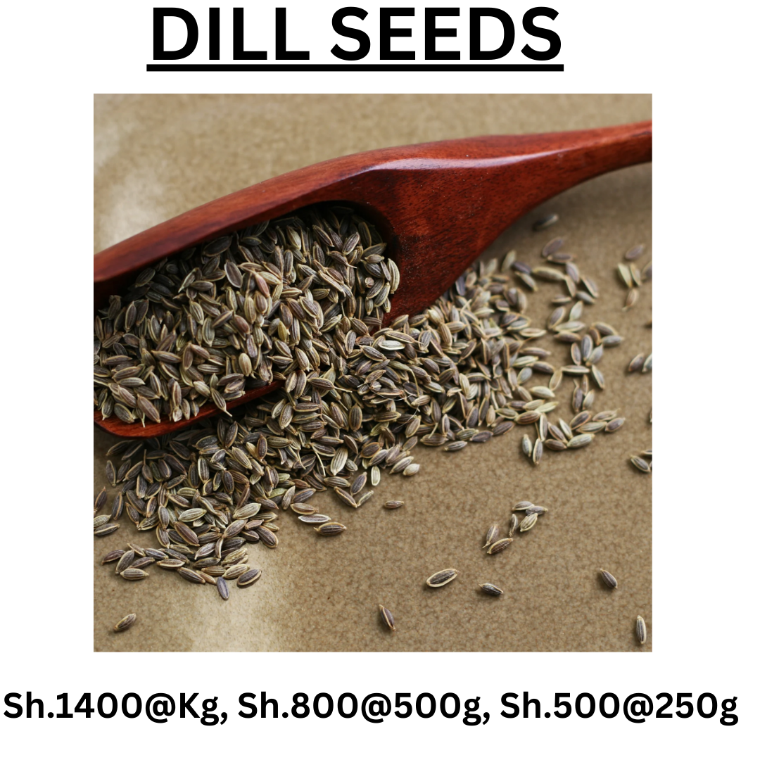 Where to get DILL SEEDS in Nairobi & Kenya KALONJI ONLINE SHOP