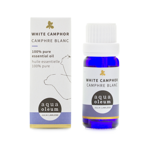 Have you been asking yourself, Where to get Camphor Essential oil (White) in Kenya? or Where to get Camphor Essential oil in Nairobi? Kalonji Online Shop Nairobi has it. Contact them via WhatsApp/call via 0716 250 250 or even shop online via their website www.kalonji.co.ke