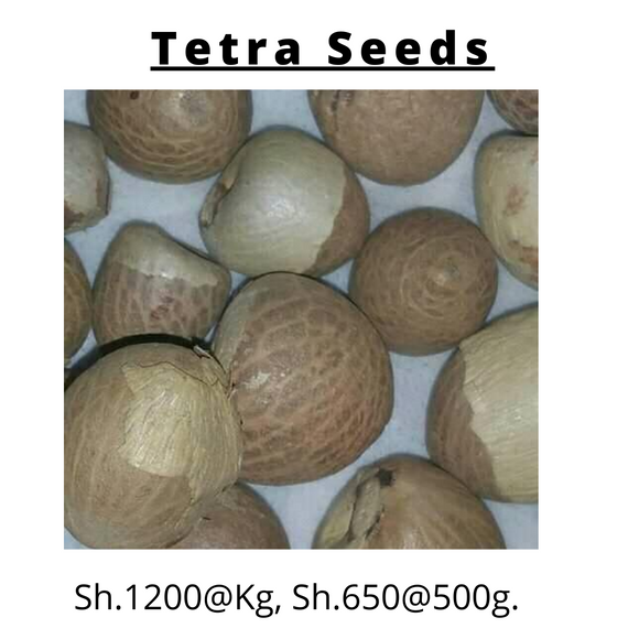 Tetra Seeds 500g, 1Kg