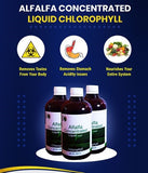 Have you been asking yourself, Where to get Alfalfa Concentrated Chlorophyll in Kenya? or Where to buy Alfalfa Concentrated Chlorophyll in Nairobi? Kalonji Online Shop Nairobi has it. Contact them via WhatsApp/Call 0716 250 250 or even shop online via their website www.kalonji.co.ke