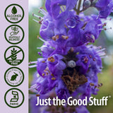 Where to get Chaste berry Vitex Agnus Castus liquid in Nairobi Kenya?
WhatsApp/Call 0716250250 / shop online www.kalonji.co.ke
Free Delivery 4 order over 3K