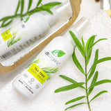 Where to get Tea Tree Foot Spray in Nairobi Kenya?
WhatsApp/Call 0716250250 / shop online www.kalonji.co.ke
Free Delivery 4 order over 3K