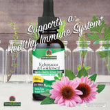 Echinacea & Goldenseal Liquid Extract 30ml
