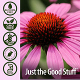 Where to buy Echinacea Root Liquid extract in Nairobi Kenya?
WhatsApp/Call 0716250250 / shop online www.kalonji.co.ke
Free Delivery 4 order over 3K 