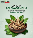 Where to get Ashwagandha Tablets in Nairobi Kenya?
WhatsApp/Call 0716250250 / shop online www.kalonji.co.ke
Free Delivery 4 order over 3K