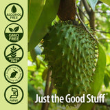 Where to get Graviola Soursop Liquid in Nairobi Kenya?
WhatsApp/Call 0716250250 / shop online www.kalonji.co.ke
Free Delivery 4 order over 3K