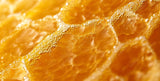 Manuka Honey Lip Balm 5.7ml