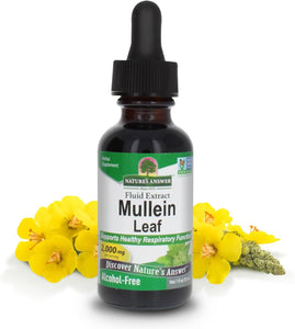 Mullein Leaf Liquid Extract 30ml