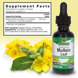 Mullein Leaf Liquid Extract 30ml