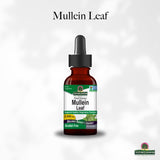 Where to get Mullein Leaf Liquid Extract Nairobi Kenya? Kalonji Shop has it.
WhatsApp/Call via 0716 250 250 or even shop online www.kalonji.co.ke