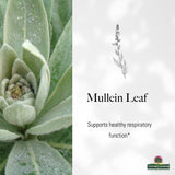 Where to get Mullein Leaf Liquid Extract Nairobi Kenya? Kalonji Shop has it.
WhatsApp/Call via 0716 250 250 or even shop online www.kalonji.co.ke