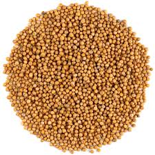 Have you been asking yourself, Where to get Mustard Seeds in Kenya? or Where to get Mustard Seeds in Nairobi? Kalonji Online Shop Nairobi has it.
Contact them via WhatsApp/call via 0716 250 250 or even shop online via their website www.kalonji.co.ke