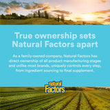 Where to get Glutathione Softgels in Nairobi Kenya?
WhatsApp/Call 0716250250 / shop online www.kalonji.co.ke
Free Delivery 4 order over 3K
