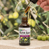 Where to get OLIVE LEAF oil in Nairobi Kenya?
WhatsApp/Call 0716250250 / shop online www.kalonji.co.ke
Free Delivery 4 order over 3K