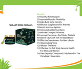 Shilajit Resin 20g