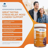 Where to get Ashwagandha Gummies in Nairobi Kenya? Kalonji Shop has
WhatsApp/Call 0716 250 250 / shop online www.kalonji.co.ke
Free Delivery for order over 3K