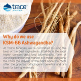 Where to get Ashwagandha Gummies in Nairobi Kenya? Kalonji Shop has
WhatsApp/Call 0716 250 250 / shop online www.kalonji.co.ke
Free Delivery for order over 3K