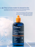 Where to get Concentrace Trace Mineral Drops in Nairobi Kenya?
WhatsApp/Call 0716250250 / shop online www.kalonji.co.ke
Free Delivery 4 order over 3K
  