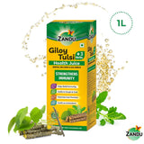 Where to get Giloy Tulsi Juice in Nairobi Kenya?
WhatsApp/Call 0716250250 / shop online www.kalonji.co.ke
Free Delivery 4 order over 3K