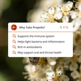 Where to get Propolis Throatspray  in Nairobi Kenya?
WhatsApp/Call 0716250250 / shop online www.kalonji.co.ke
Free Delivery 4 order over 3K 