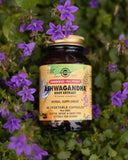 Have you been asking yourself, Where to get Solgar ASHWAGANDHA CAPSULES in Kenya? or Where to get ASHWAGANDHA EXTRACT CAPSULES in Nairobi? Kalonji Online Shop Nairobi has it. Contact them via WhatsApp/call via 0716 250 250 or even shop online via their website www.kalonji.co.ke