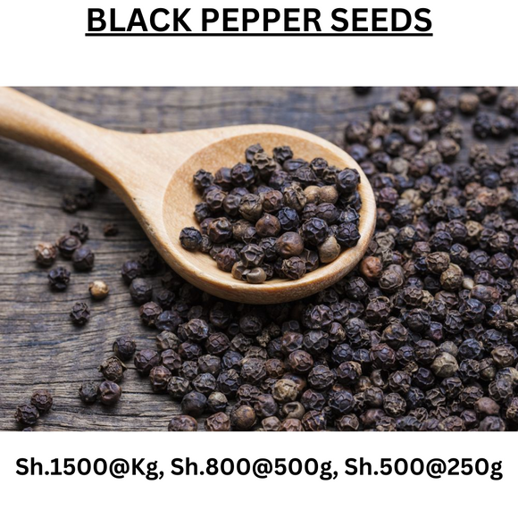 BLACK PEPPER SEEDS (250g, 500g, 1 KG)