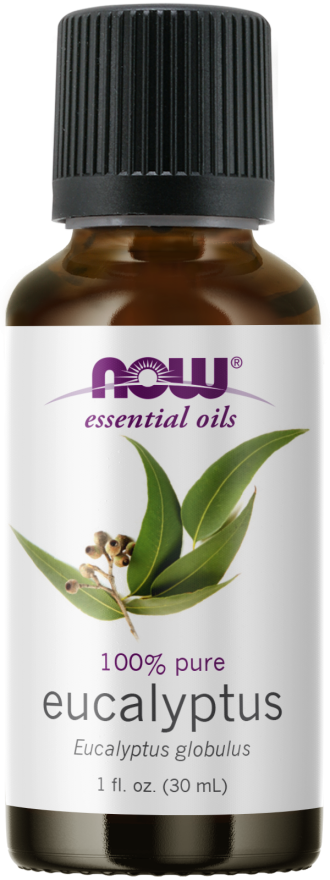 Now Foods Eucalyptus Oil - 16 fl oz