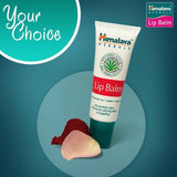 Have you been asking yourself, Where to get Himalaya Lip Balm in Kenya? or Where to get Himalaya Lip Balm in Nairobi? Kalonji Online Shop Nairobi has it. Contact them via WhatsApp/call via 0716 250 250 or even shop online via their website www.kalonji.co.ke