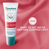 Have you been asking yourself, Where to get Himalaya Lip Balm in Kenya? or Where to get Himalaya Lip Balm in Nairobi? Kalonji Online Shop Nairobi has it. Contact them via WhatsApp/call via 0716 250 250 or even shop online via their website www.kalonji.co.ke