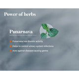 Have you been asking yourself, Where to get Himalaya Punarnava Tablets in Kenya? or Where to get Punarnava Tablets in Nairobi? Kalonji Online Shop Nairobi has it. Contact them via WhatsApp/call via 0716 250 250 or even shop online via their website www.kalonji.co.ke